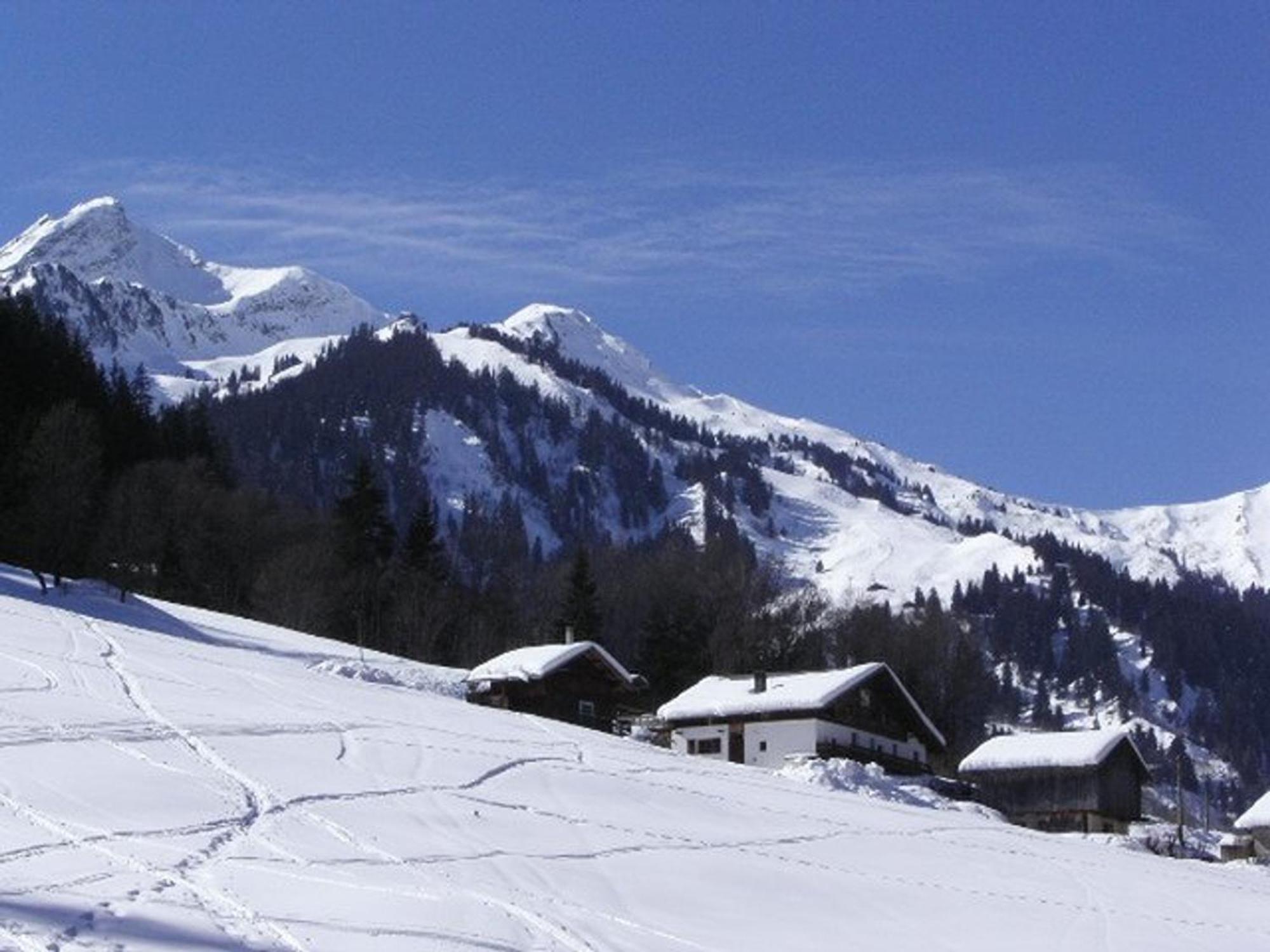Charmant Studio 2/4 Pers A 200M Des Pistes, Balcon Sud, Animaux Admis - Fr-1-342-148 Beaufort  Exterior foto